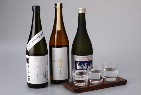 五能線　リゾートしらかみ　地酒　クラフトビール　酒蔵見学